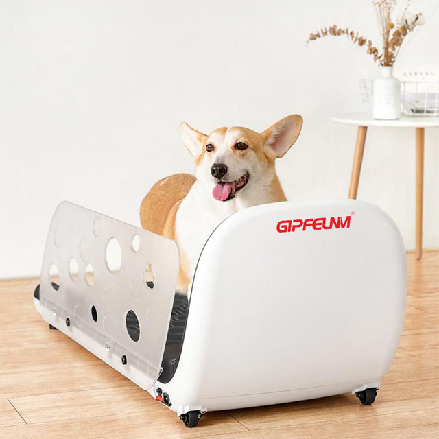 Pet Treadmill P500