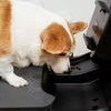 Pet Treadmill P500