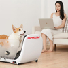 Pet Treadmill P500